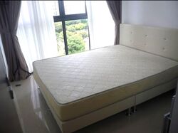 City Suites (D12), Apartment #530899931